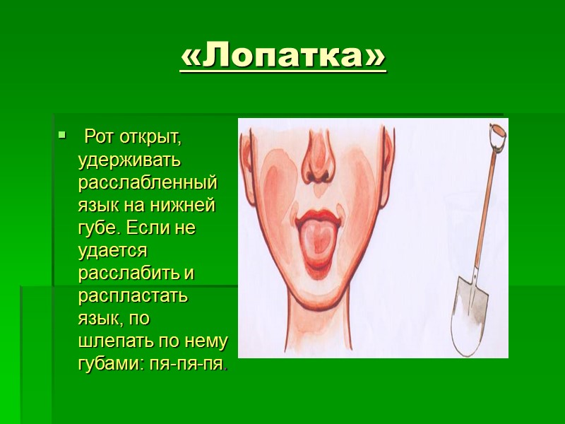 «Лопатка»  Рот открыт, удерживать расслабленный язык на нижней губе. Если не удается расслабить